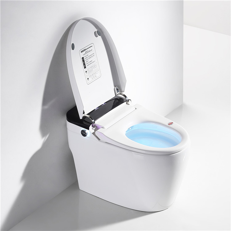Wholesale Cheap 110V/220V Bathroom Electronic Bidet Auto Flush Inodoro Electronic Intelligent Wc Bathroom Smart Toilet